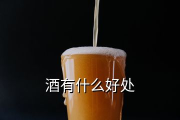 酒有什么好處