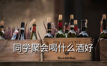 同學(xué)聚會喝什么酒好