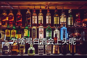 為啥喝白酒會(huì)上頭呢