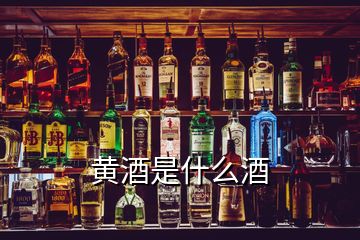 黃酒是什么酒