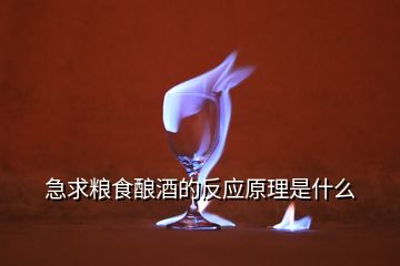 急求糧食釀酒的反應(yīng)原理是什么