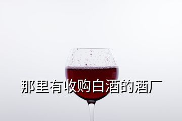 那里有收購白酒的酒廠