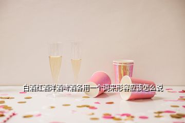 白酒紅酒洋酒啤酒各用一個詞來形容應(yīng)該怎么說