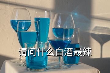 請問什么白酒最辣