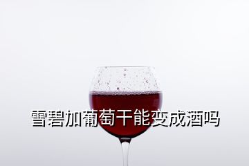 雪碧加葡萄干能變成酒嗎