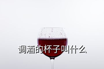 調(diào)酒的杯子叫什么