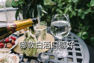 哪款白酒口感好