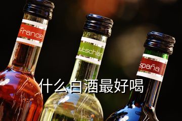 什么白酒最好喝