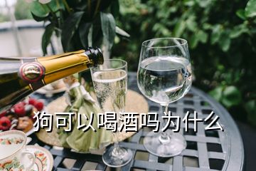 狗可以喝酒嗎為什么