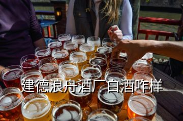 建德浪舟酒廠白酒咋樣