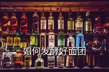 如何發(fā)酵好面團