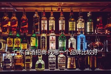 廣東白酒招商 找哪一個(gè)品牌比較好