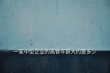 一家中型企業(yè)的高管年薪大約是多少