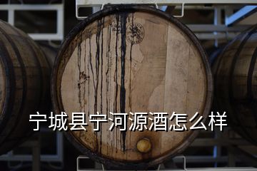 寧城縣寧河源酒怎么樣