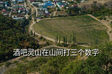 酒吧靈山在山間打三個數(shù)字