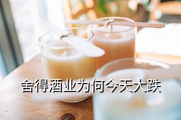 舍得酒業(yè)為何今天大跌