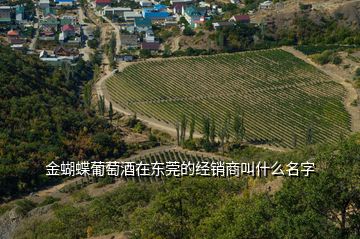 金蝴蝶葡萄酒在東莞的經(jīng)銷商叫什么名字