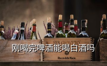 剛喝完啤酒能喝白酒嗎