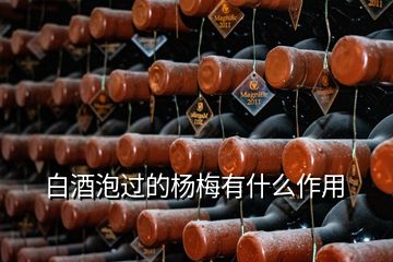 白酒泡過(guò)的楊梅有什么作用