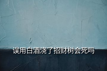 誤用白酒澆了招財樹會死嗎