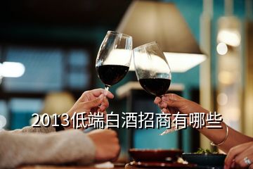 2013低端白酒招商有哪些