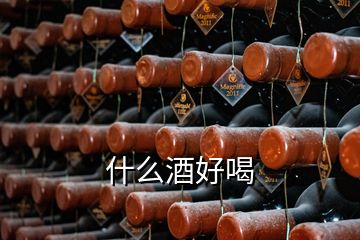 什么酒好喝