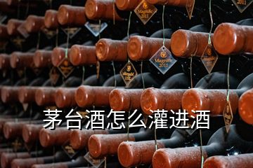 茅臺(tái)酒怎么灌進(jìn)酒