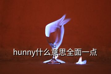 hunny什么意思全面一點(diǎn)