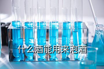 什么酒能用來泡酒