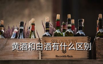 黃酒和白酒有什么區(qū)別