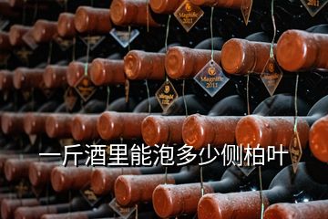 一斤酒里能泡多少側柏葉