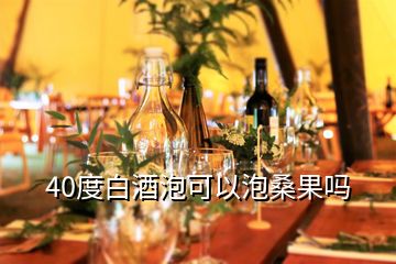 40度白酒泡可以泡桑果嗎