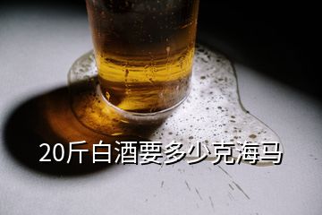 20斤白酒要多少克海馬