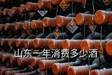 山東一年消費(fèi)多少酒