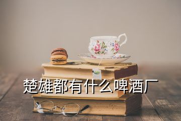 楚雄都有什么啤酒廠