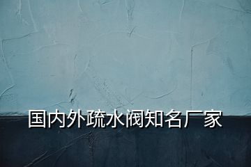 國內(nèi)外疏水閥知名廠家