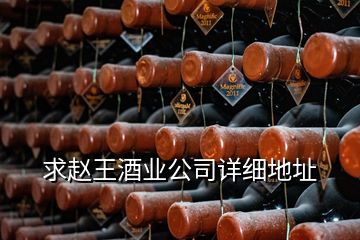 求趙王酒業(yè)公司詳細地址