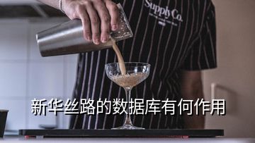 新華絲路的數(shù)據(jù)庫有何作用