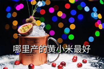 哪里產(chǎn)的黃小米最好