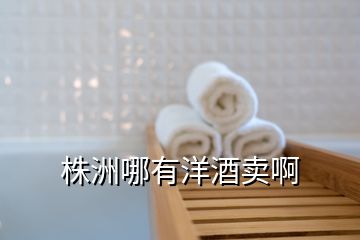 株洲哪有洋酒賣啊