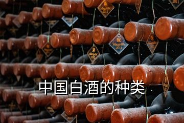 中國(guó)白酒的種類