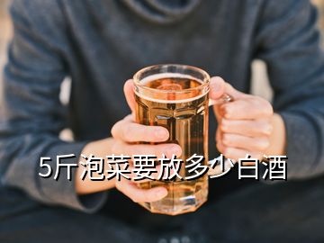 5斤泡菜要放多少白酒