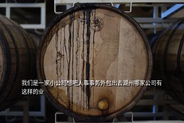 我們是一家小公司想吧人事事務(wù)外包出去湖州哪家公司有這樣的業(yè)