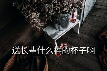 送長輩什么樣的杯子啊