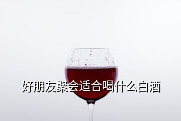 好朋友聚會適合喝什么白酒