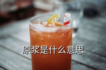 原漿是什么意思