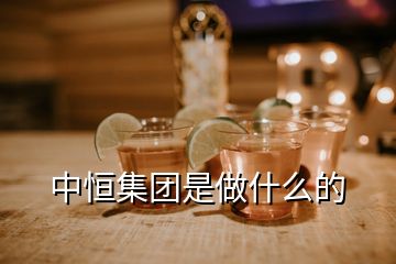 中恒集團(tuán)是做什么的