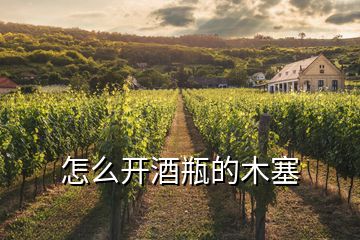 怎么開(kāi)酒瓶的木塞