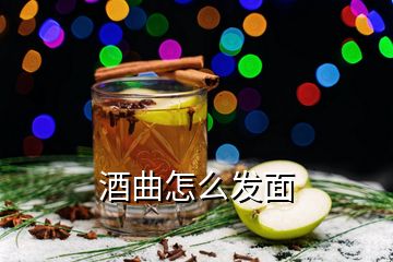 酒曲怎么發(fā)面