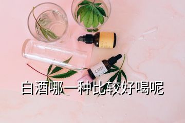 白酒哪一種比較好喝呢